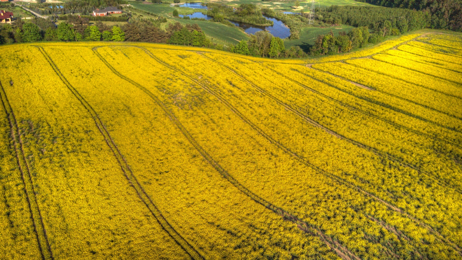 DJI 0050 1 2 Enhancer