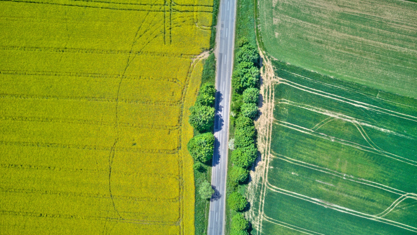 DJI 0055 6 7 Enhancer