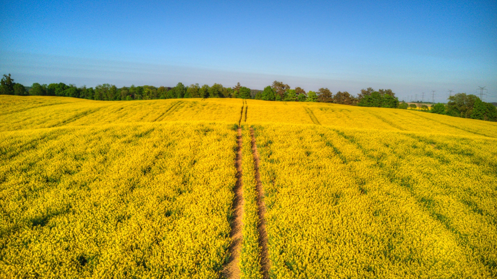 DJI 0154 5 6 Detailed