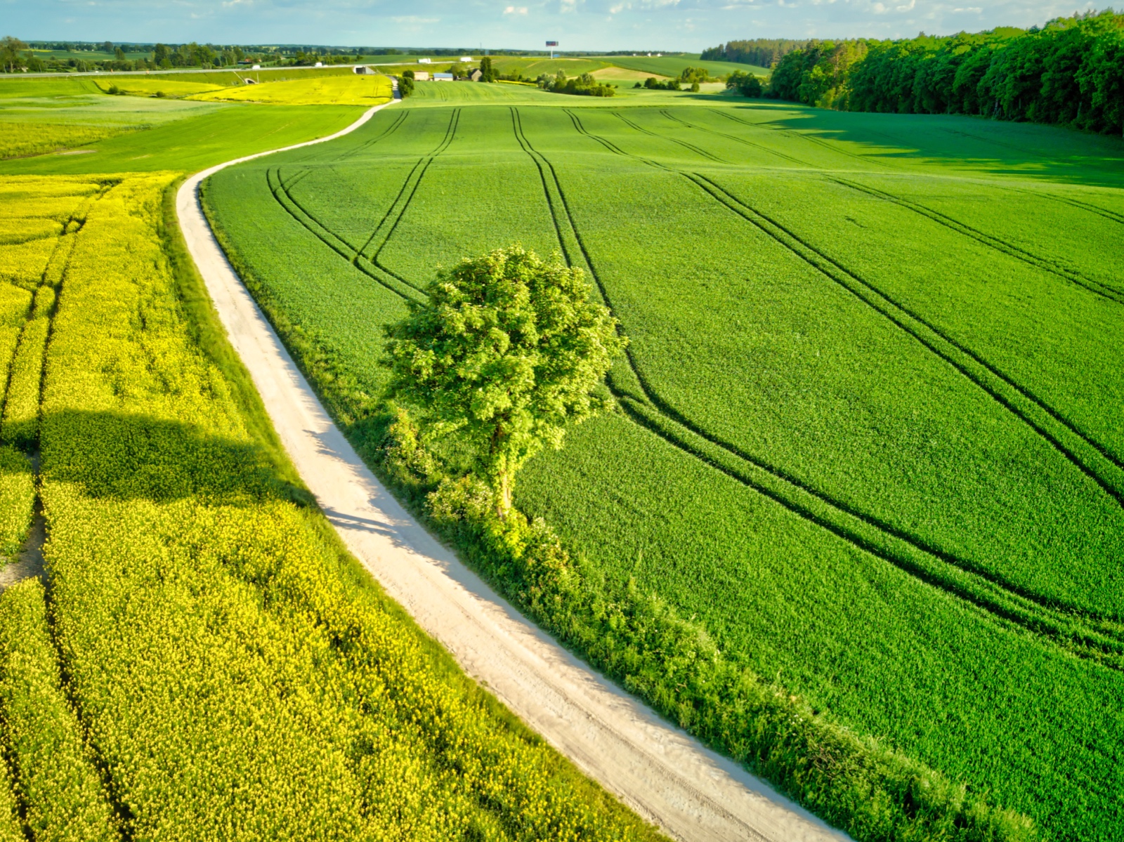 DJI 0459 60 61 62 63