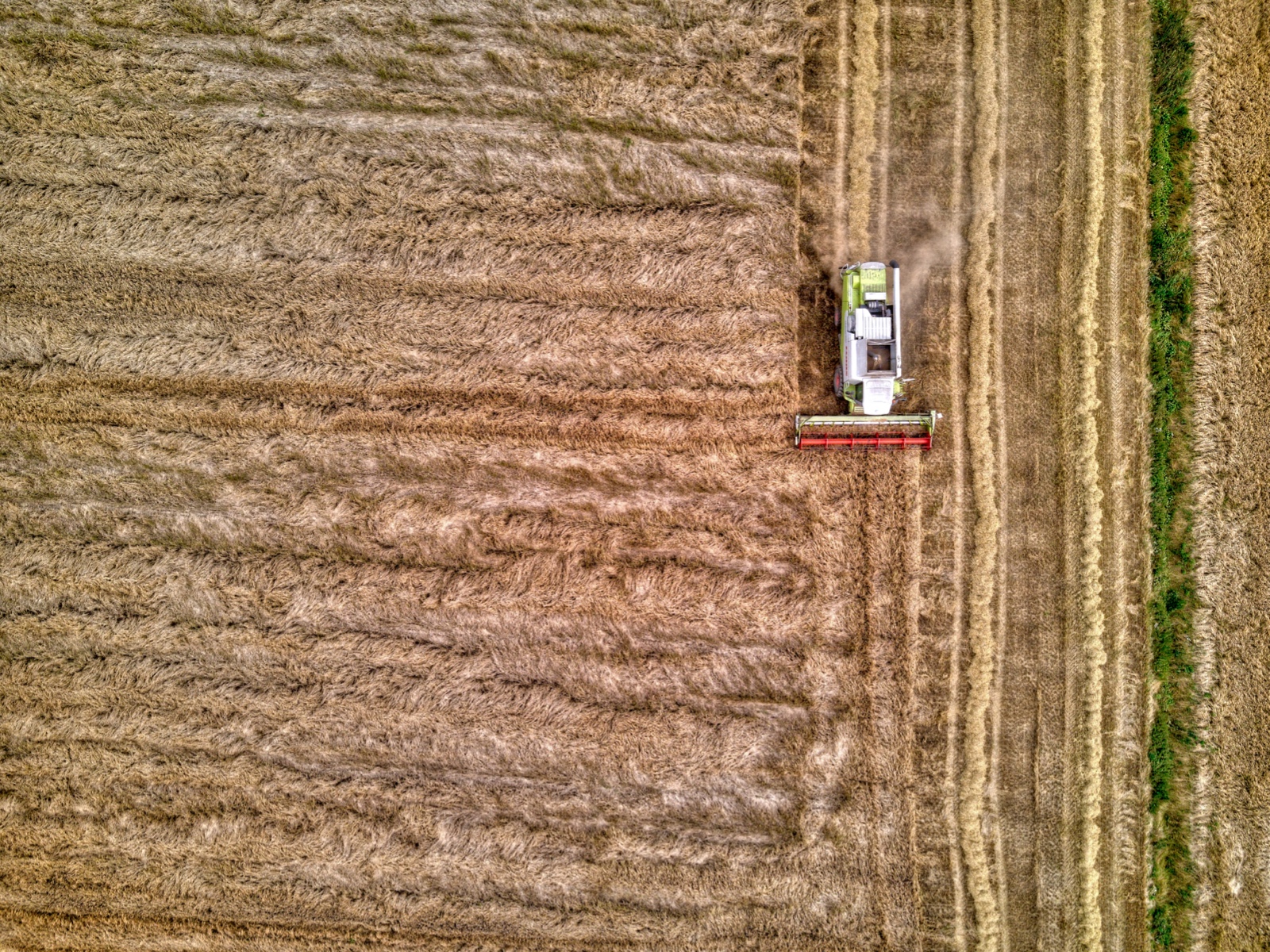 DJI 0536 7 8 Enhancer