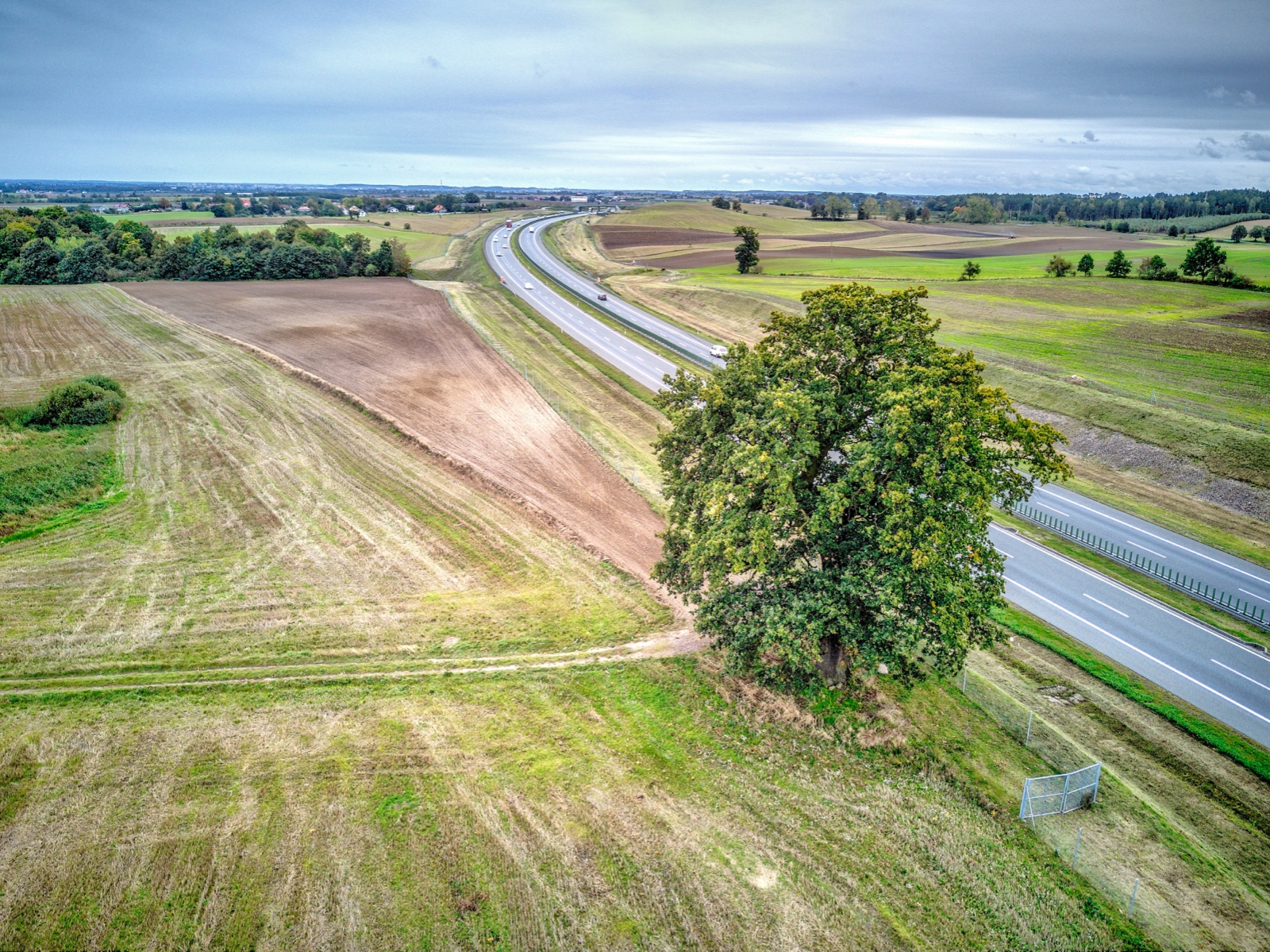 DJI 0660 1 2 Optimizer