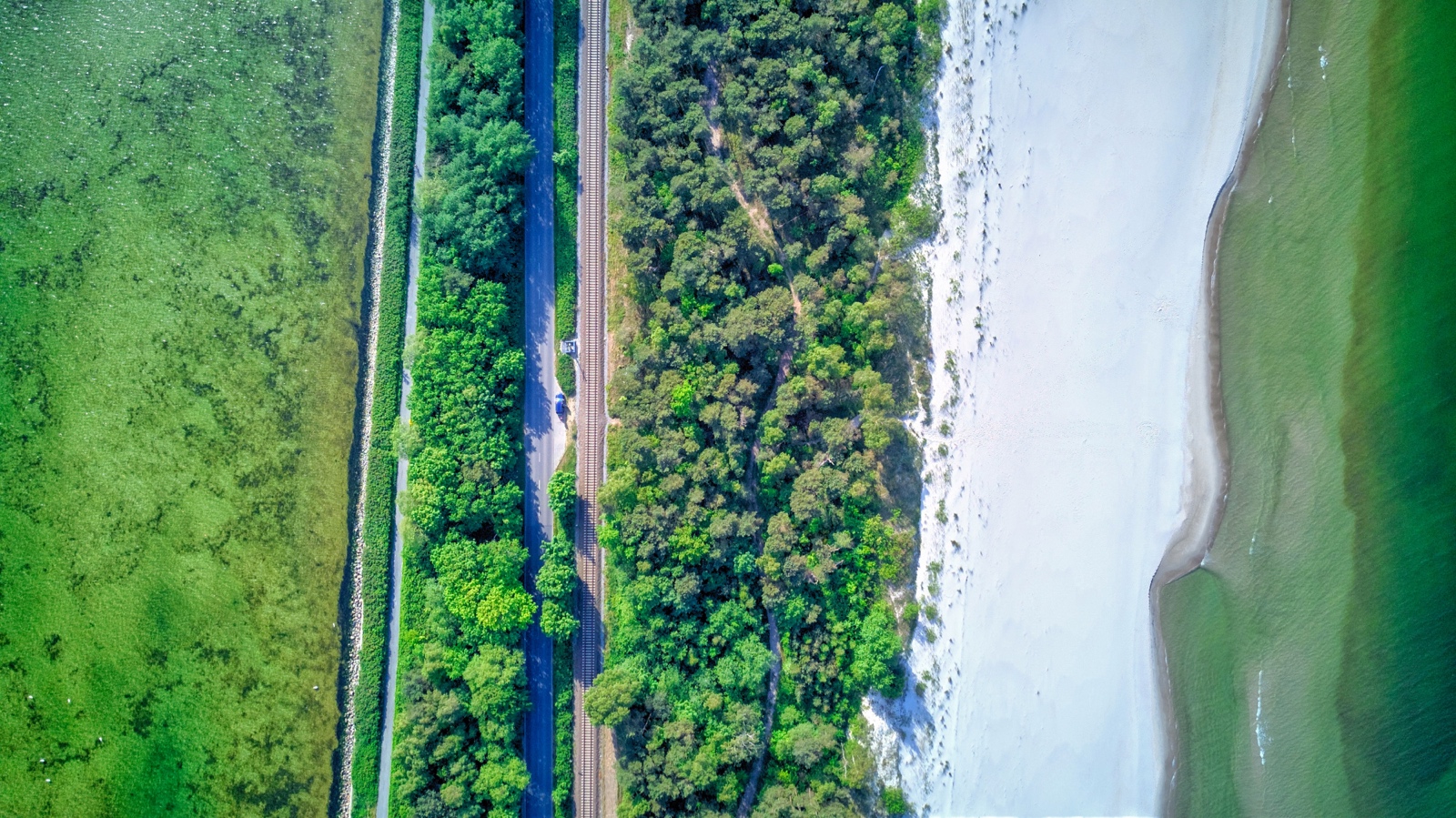 DJI 0183 4 5 6 7 Optimizer