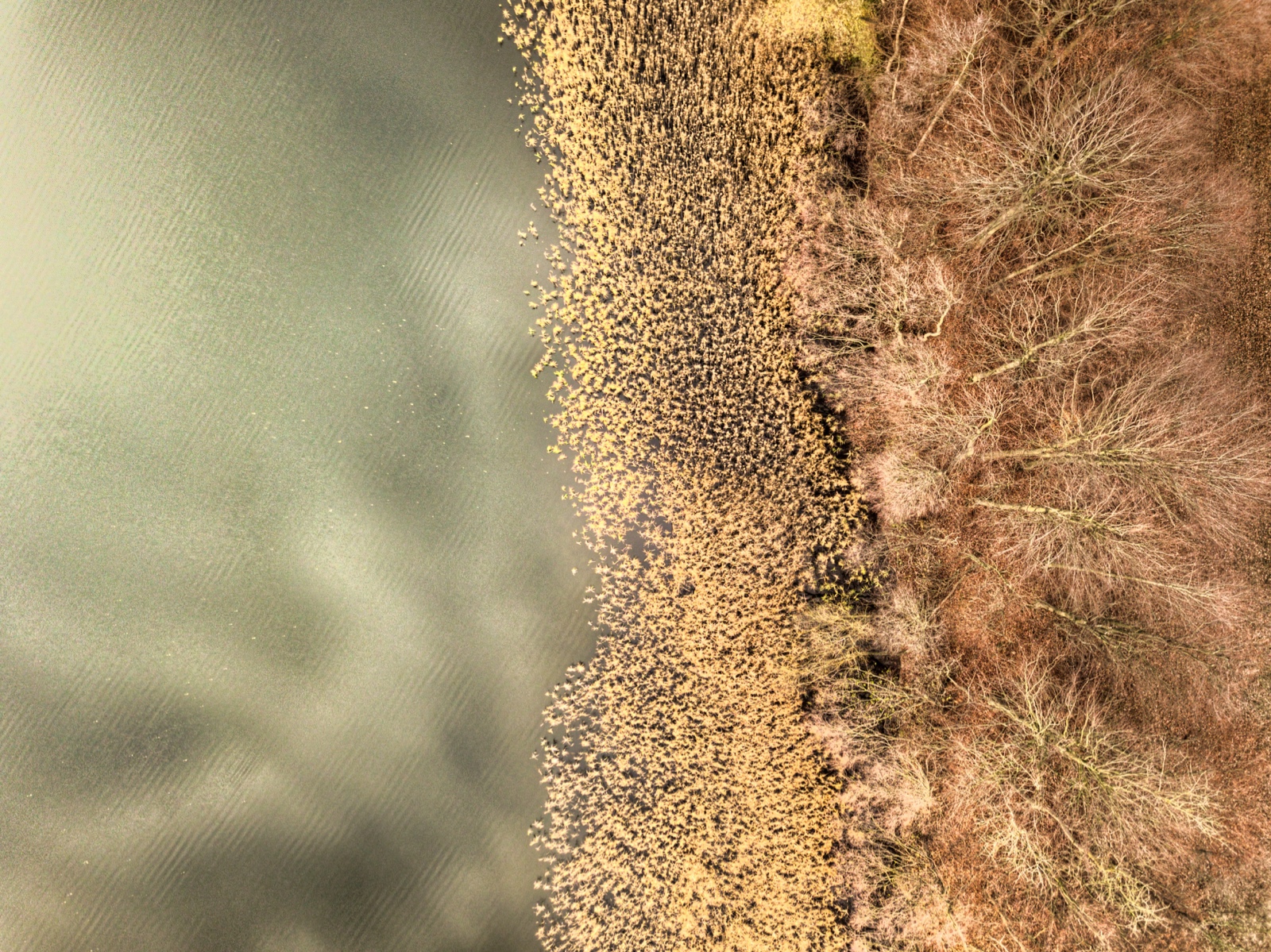 Project 20181119 2141