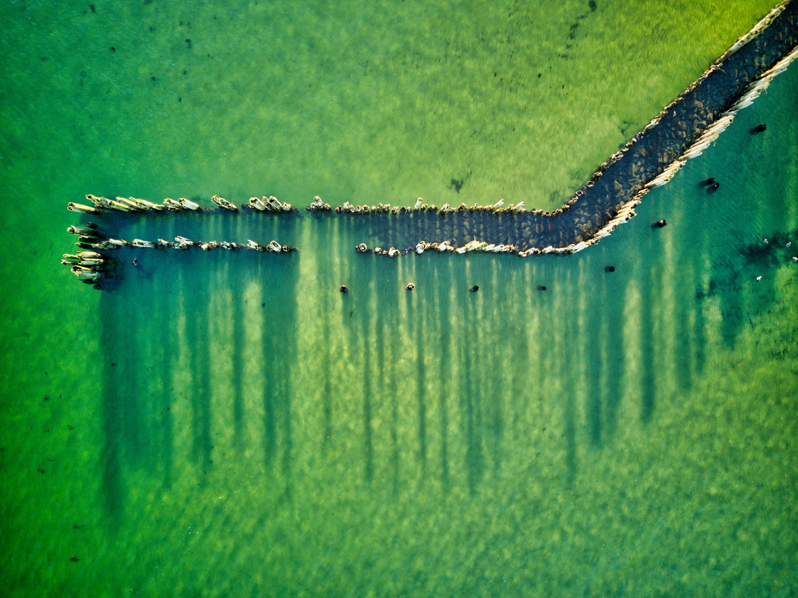 DJI 0579 80 81 82 83